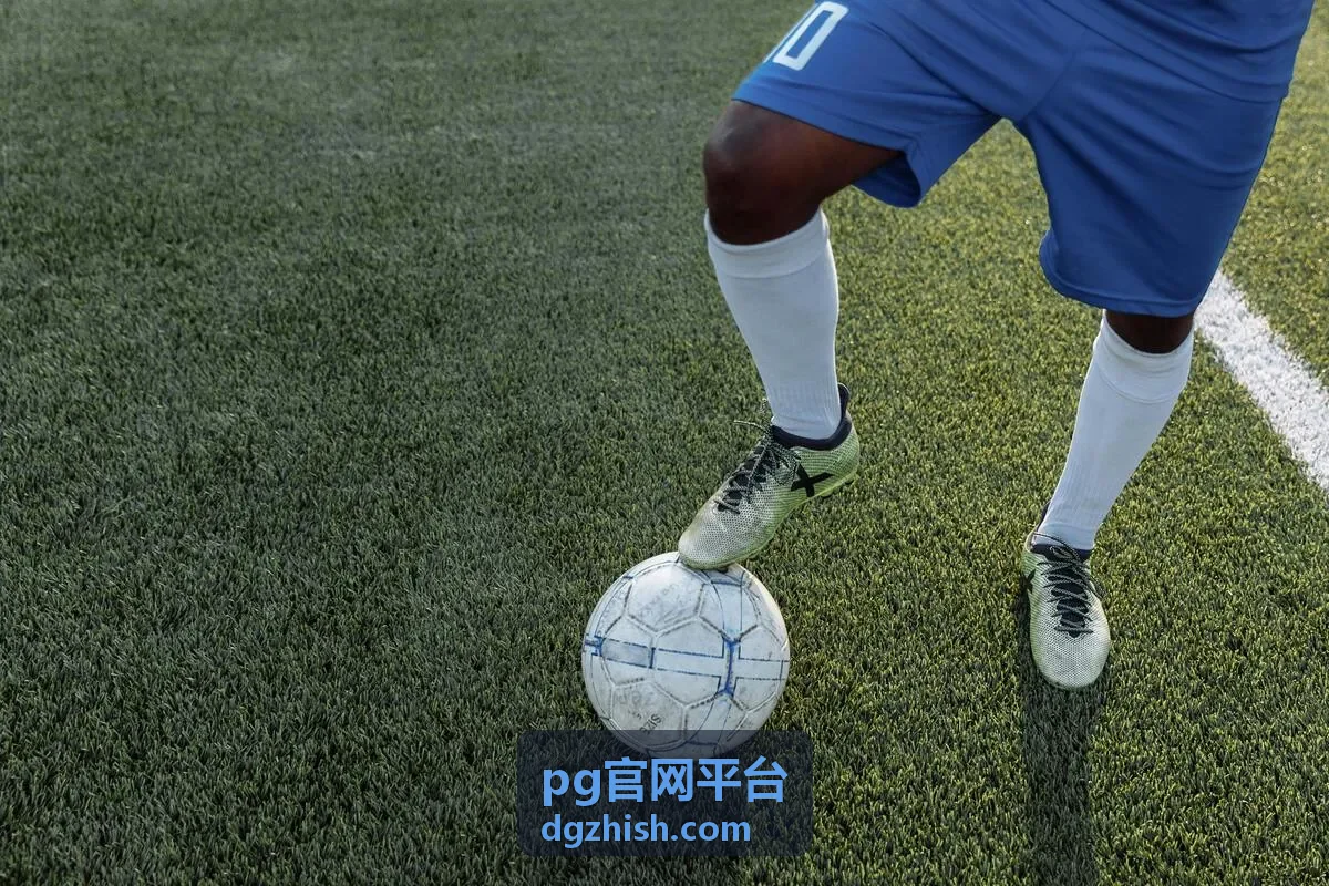 pg官网平台账号登录与验证问题说明配图
