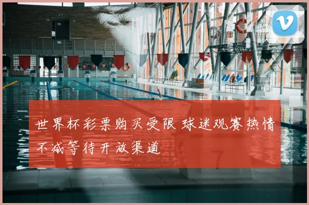 世界杯彩票购买受限 球迷观赛热情不减等待开放渠道