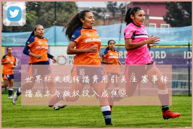 世界杯央视转播费用引关注 赛事转播成本与版权投入成焦点